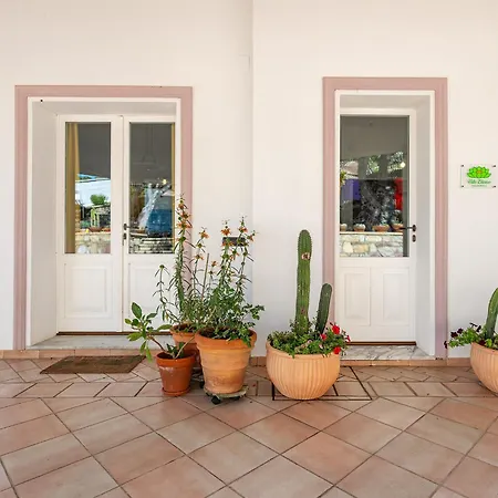 Elicriso * Carloforte (Isola di San Pietro)