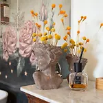 Elicriso Kır Evi