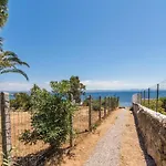 Elicriso * Carloforte (Isola di San Pietro)