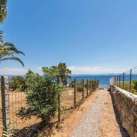 Elicriso * كارلوفورتي