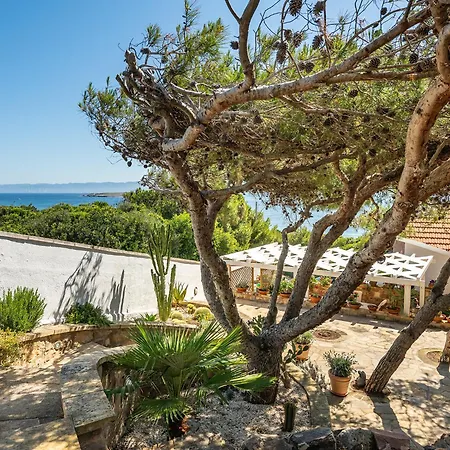 Elicriso * كارلوفورتي